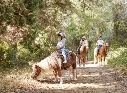 40-activities-nature-horses-grecotel-riviera-olympia